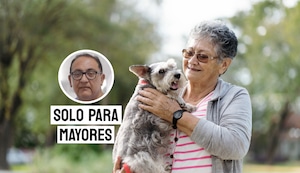 Cómo una mascota puede mejorar el ánimo y combatir la depresión en adultos mayores