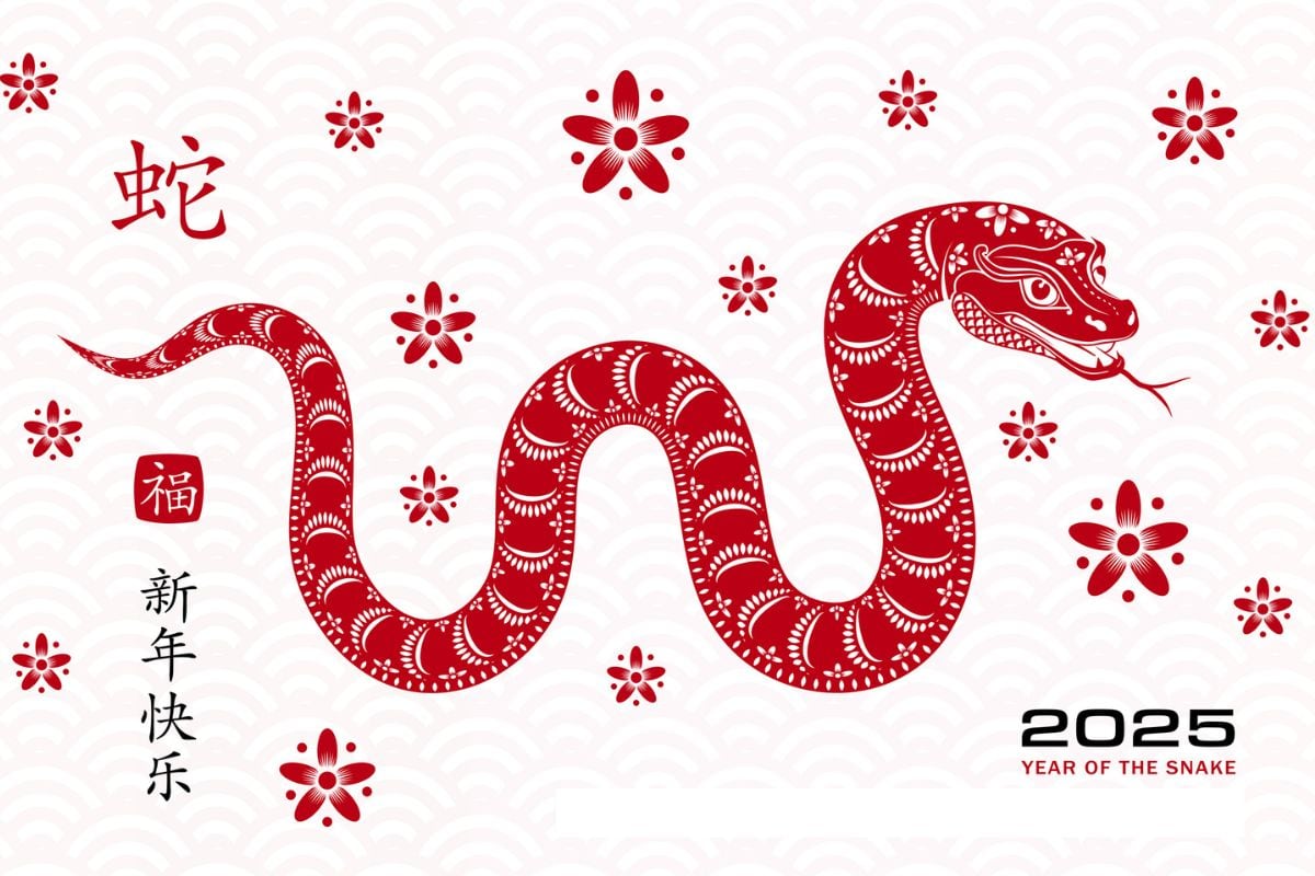 La serpiente pronostica un año enfocado en el crecimiento y la planificación a largo plazo. Foto: iStock.