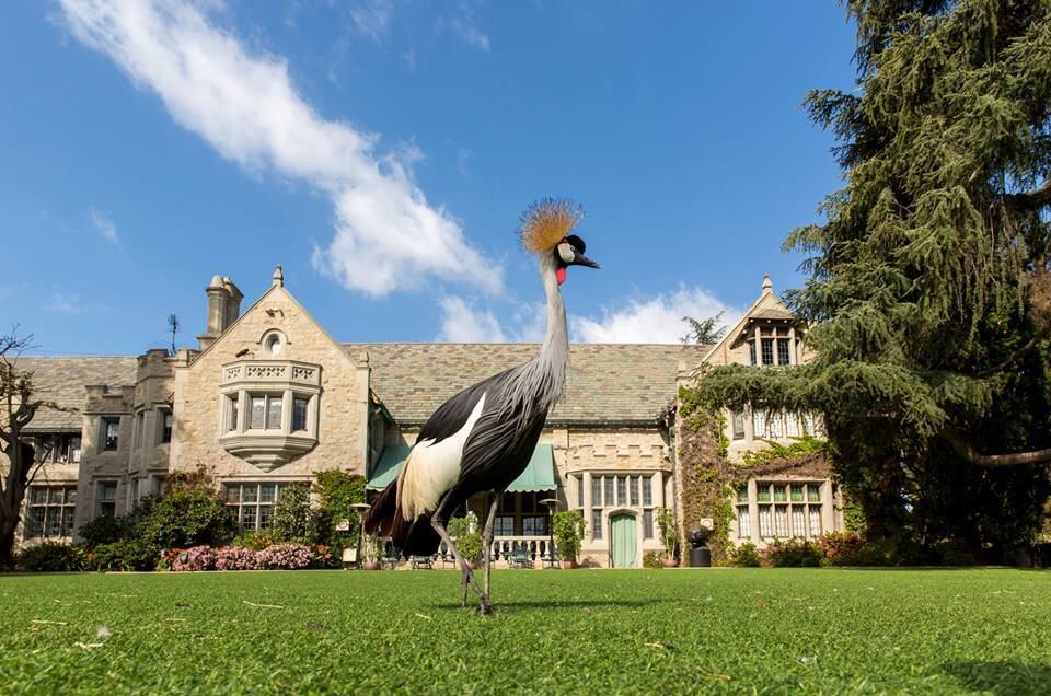 Animales exóticos también eran inquilinos de la mansión, pues Hefner mandó a construir un zoológico dentro de ella. (Foto: Facebook Hugh M. Hefner)