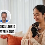 Cachorro en casa: cuidados esenciales para sus primeros días