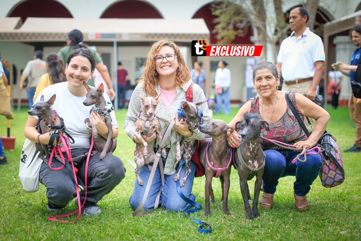 Estos perritos influencers también se apoderaron de las cámaras y pasaron un agradable momento. Foto: César Bueno.