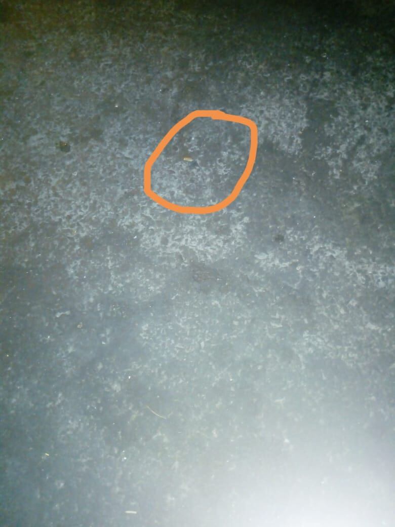 El empresario José Ochoa Machaca (59) denunció que en menos de 12 horas, varios sicarios lo han golpeado e intentado asesinar hasta en dos oportunidades por denunciar a una mujer, su hermano y pareja, por usurpación de su predio. Los denunciados quedaron libres y juraron venganza.