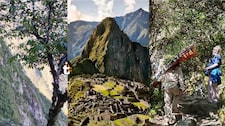 ¡Tragedia en Machu Picchu! Turista cae a barranco y es intensamente buscado (FOTOS)