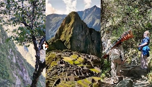 ¡Tragedia en Machu Picchu! Turista cae a barranco y es intensamente buscado (FOTOS)