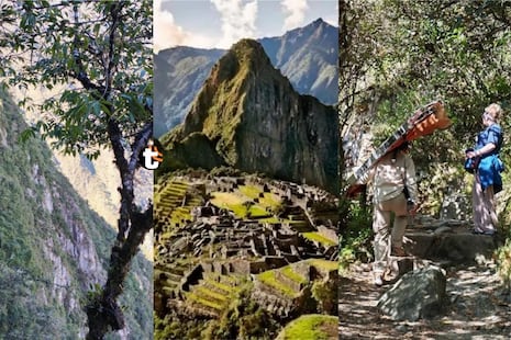 ¡Tragedia en Machu Picchu! Turista cae a barranco y es intensamente buscado (FOTOS)