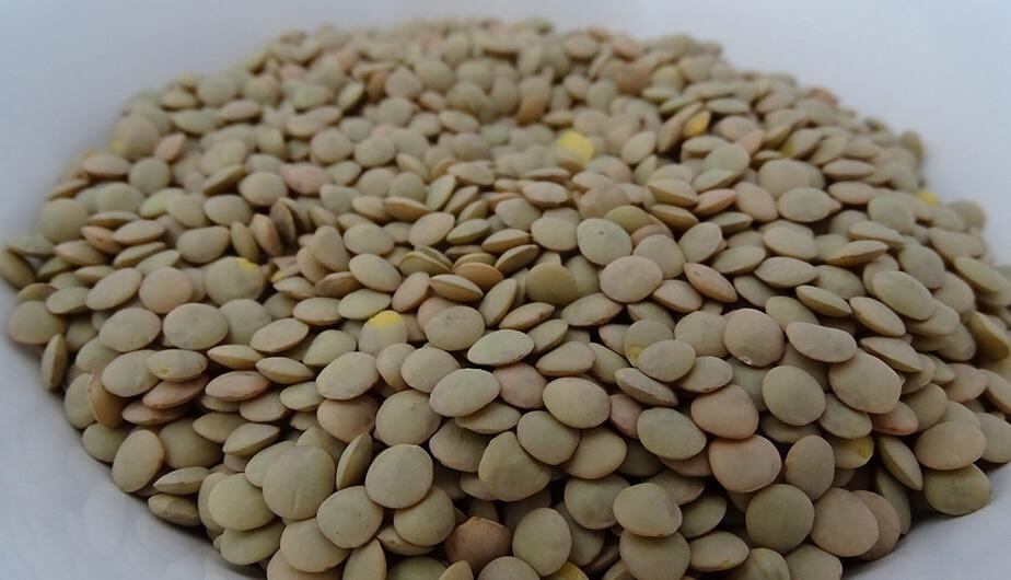 Las lentejas son sinónimo de abundancia, pro lo que nunca deben faltar (Foto: Pixabay)