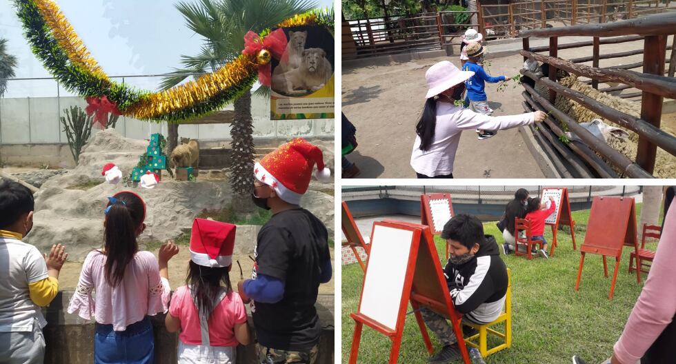 Niños podrán escribir su carta Papá Noel