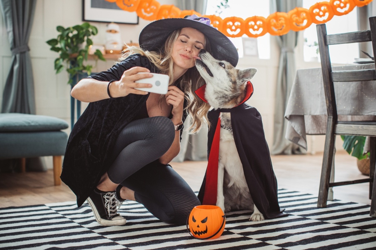 Sigue estas recomendaciones si quieres disfrazar a tu peludito este 31 octubre. Foto: Istock.