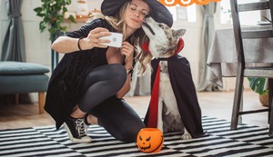 ¿Vas a disfrazar a tu mascota por Halloween? Aquí te damos cinco tips que debes tener en cuenta
