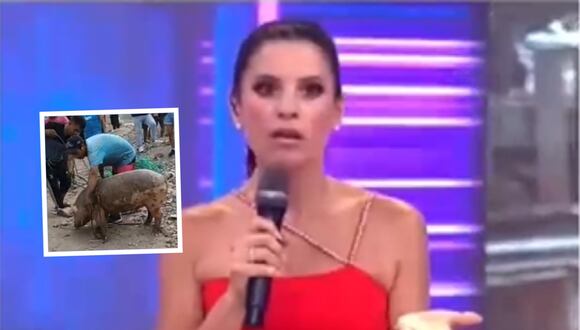 Dueña del chanchito rescatado hace denuncia