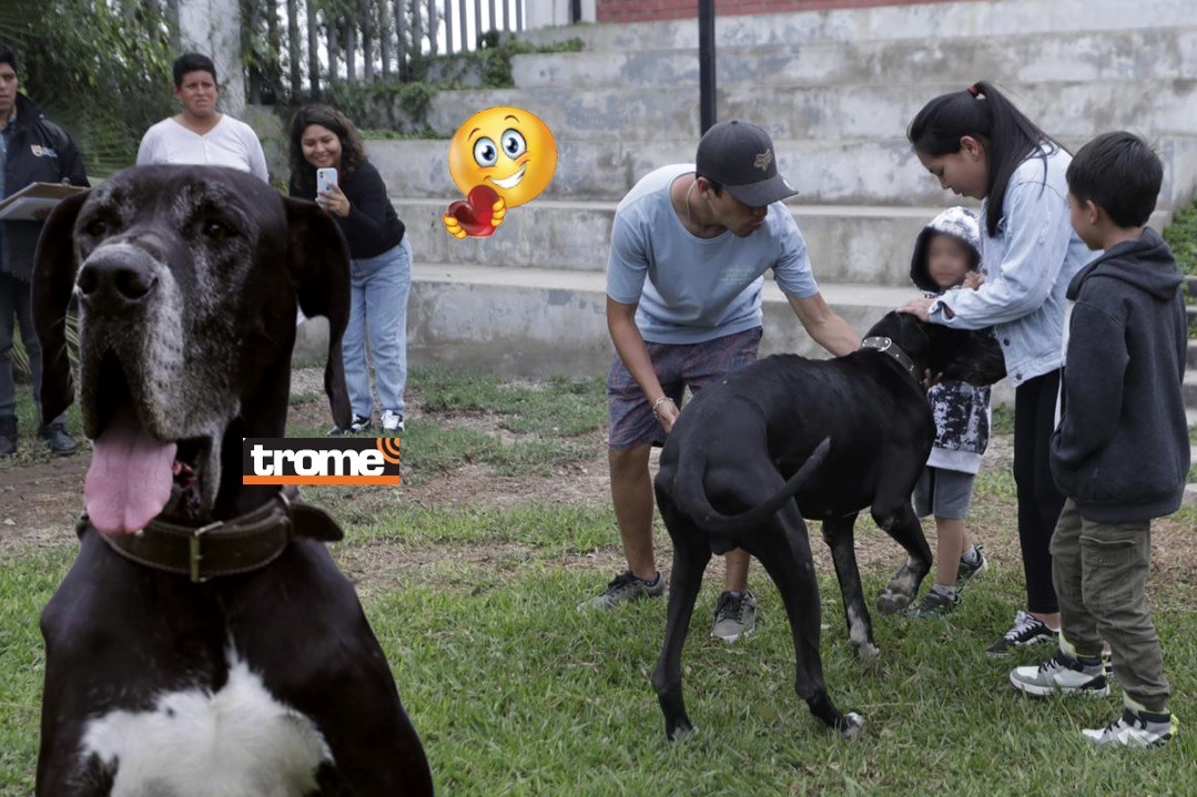 Feliz reencuentro de Figo con su familia, tras casi tres años de no poder encontrarlo. Ya volvió a casa, tras ser identificado en Surco. (Entrevista: Isabel Medina / Fotos: Hugo Pérez / Trome).