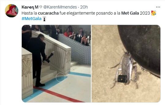 Memes sobre la cucaracha en el Met Gala 2023. (Foto: @KarenMmendes).