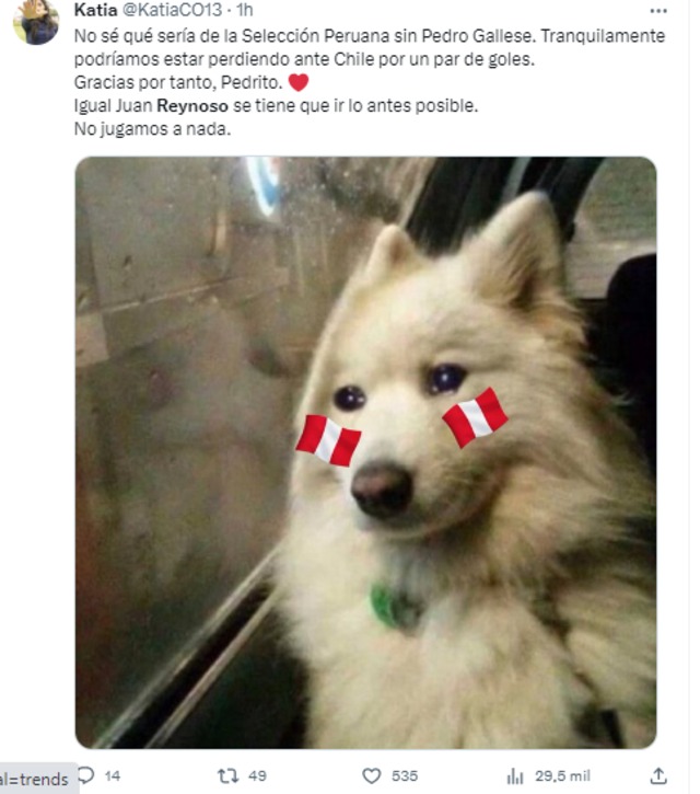 Usuarios de las redes sociales piden la renuncia de Reynoso con divertidos memes tras la derrota de Perú ante Chile