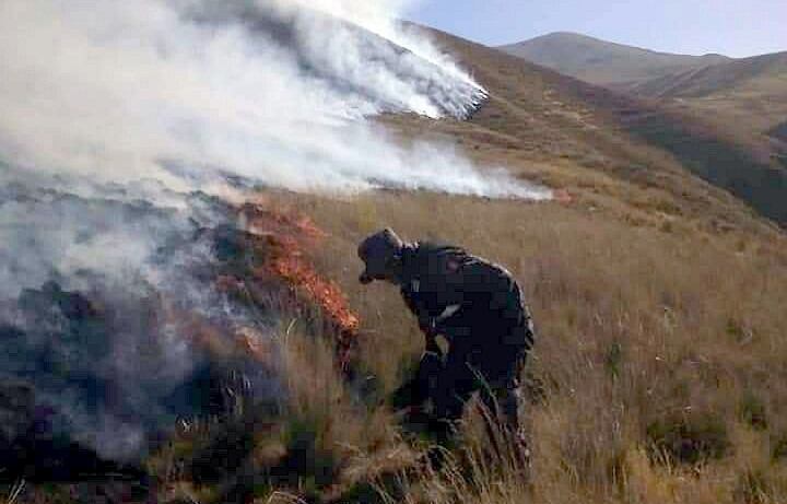 Pobladores, serenos, policías y bomberos acudieron hasta la zona a fin de ayudar a controlar el siniestro. (GEC)