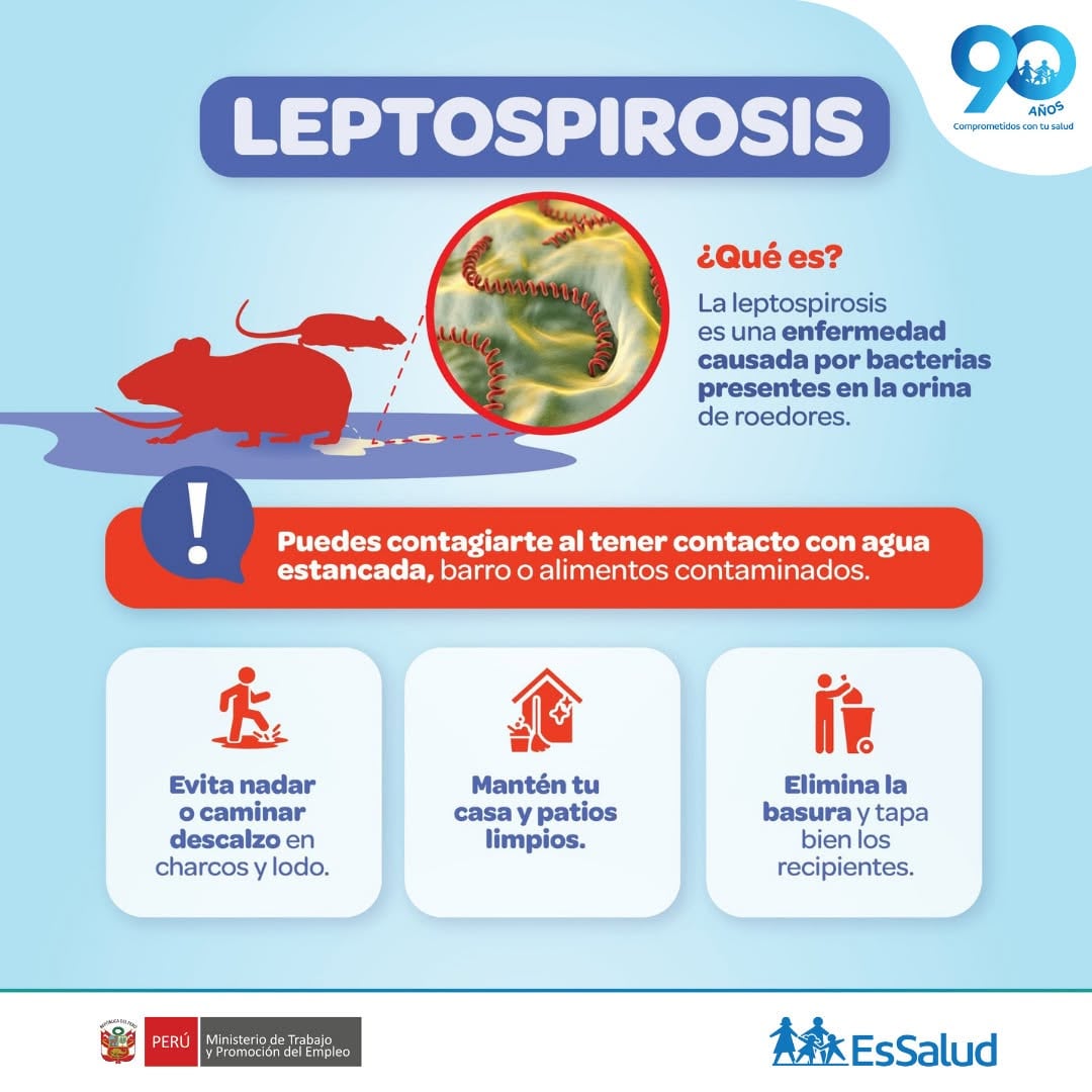 Conoce qué es la leptospirosis y cómo afecta a las personas. Foto: EsSalud.