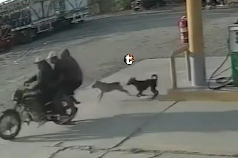 ¡Asaltan grifo en 40 segundos en Chiclayo! Fingieron ser clientes y huyeron tras arrebatar dinero y celul...