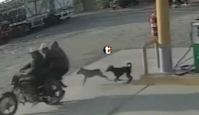 Delincuentes fingen cargar combustible y asaltan a trabajadora en segundos