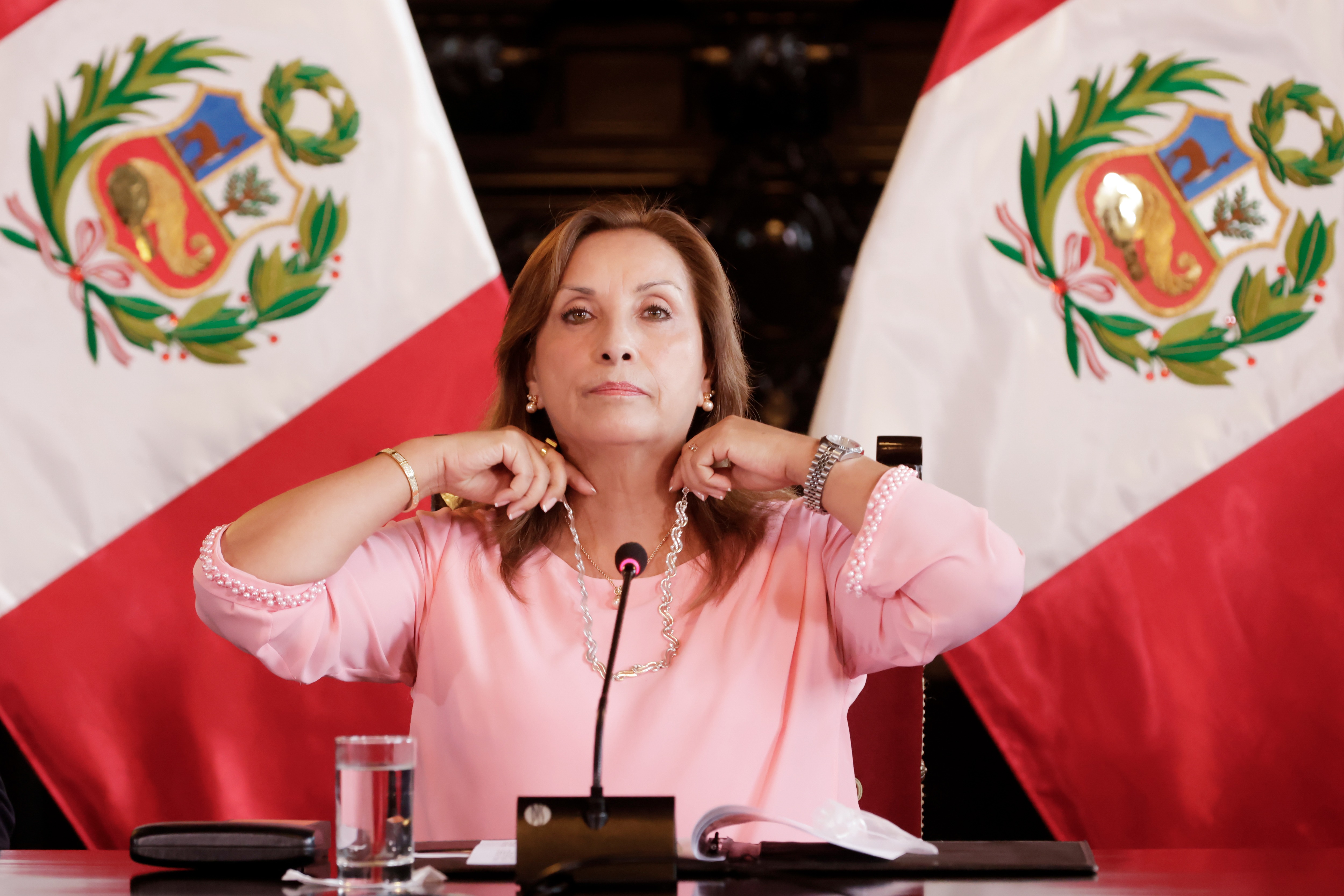 Presidenta Dina Boluarte (Presidencia)