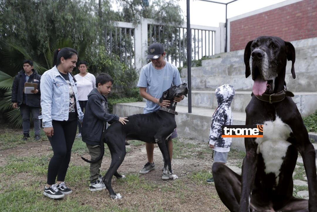 Feliz reencuentro de Figo con su familia, tras casi tres años de no poder encontrarlo. Ya volvió a casa, tras ser identificado en Surco. (Entrevista: Isabel Medina / Fotos: Hugo Pérez / Trome).