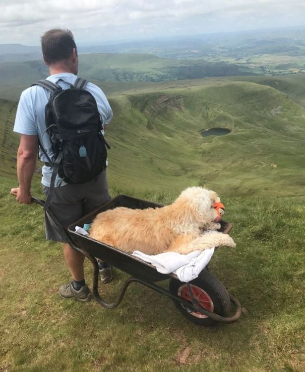 Monty falleció unos días después de su última aventura. (Foto: Calos Fresco)