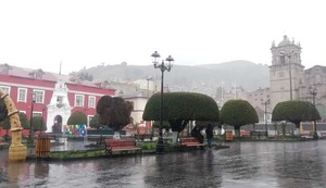 El Búho y su viaje a Puno