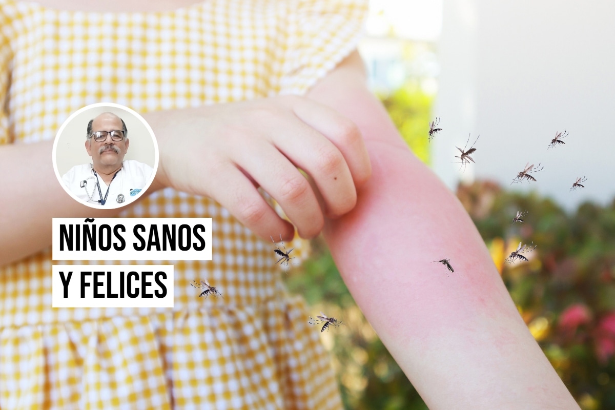 Protege a tus hijos de los zancudos y las enfermedades que transmiten. Foto: Istock.