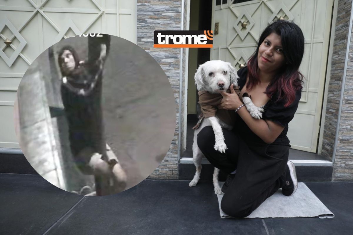 Dueña de 'Lester' premió a su engreído por frustrar robo en su casa. A un costado: Ratero trepó poste para llegar a su objetivo. | Foto: Britanie Arroyo / Diario Trome