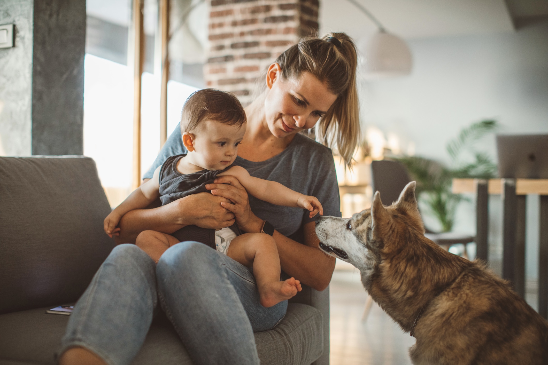Nunca dejes a un perro solo con un bebé, por más tranquilo o cariñoso que parezca. Un movimiento brusco, un susto o una reacción imprevista pueden generar un accidente. Foto: Istock