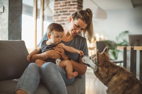 Mascotas y bebés: claves para una buena convivencia en casa