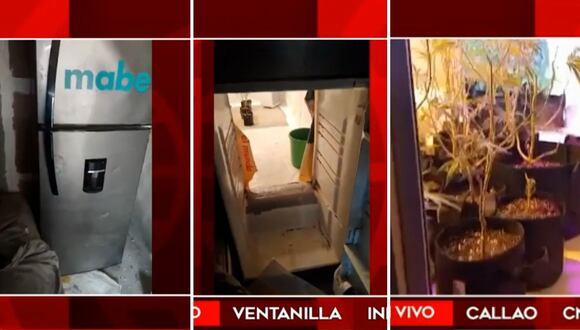 Invernadero clandestino en Ventanilla