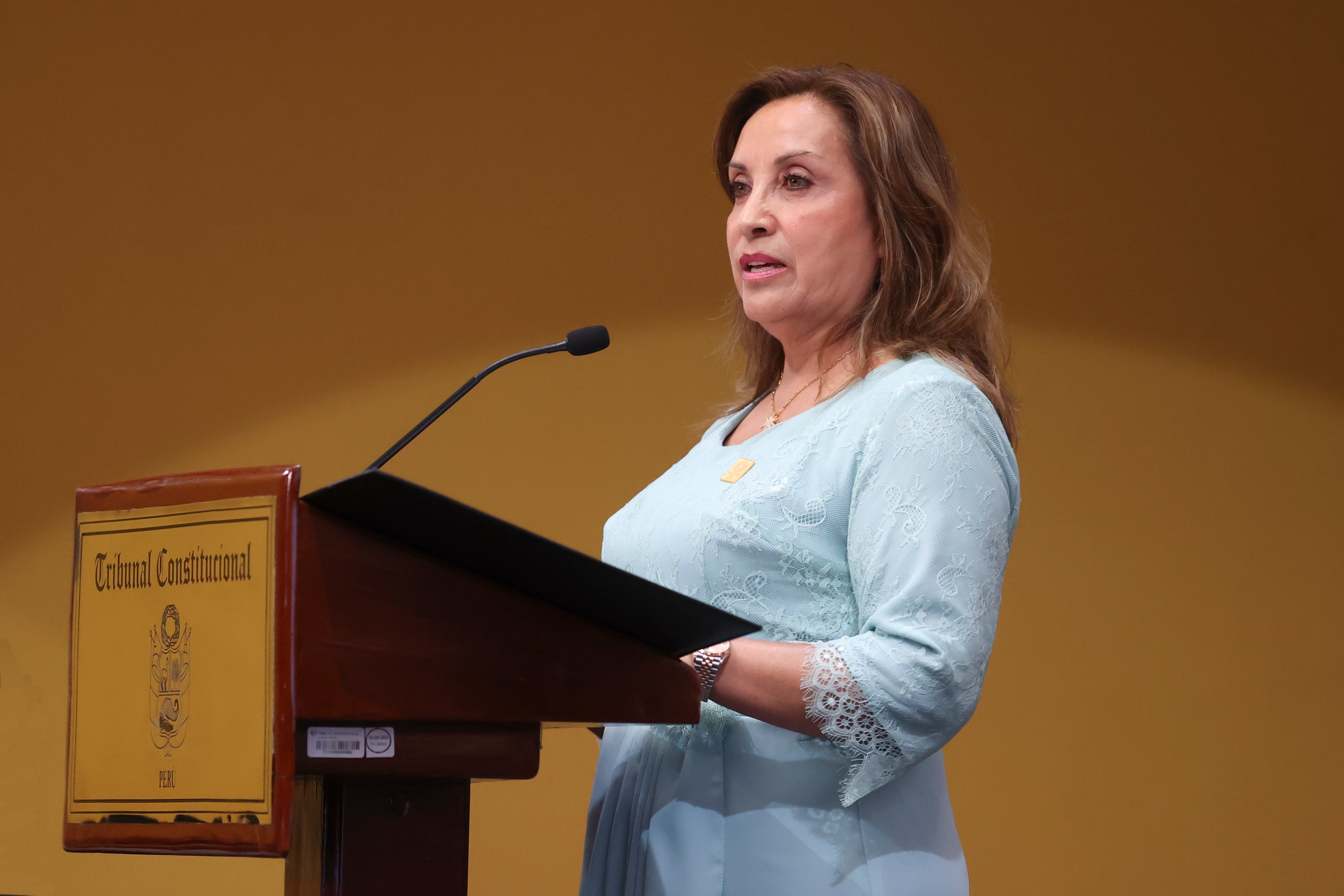 Dina Boluarte (Foto: Presidencia de la República)