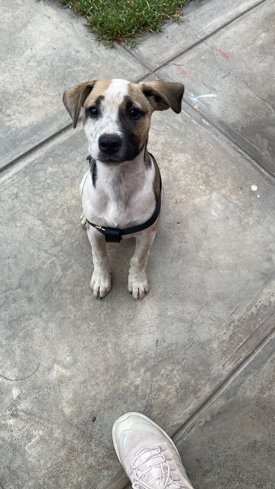 ROKO.