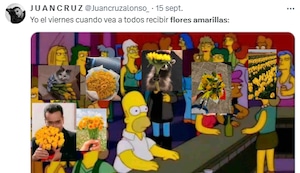 Flores amarillas este 21 de setiembre: Salen los más divertidos memes