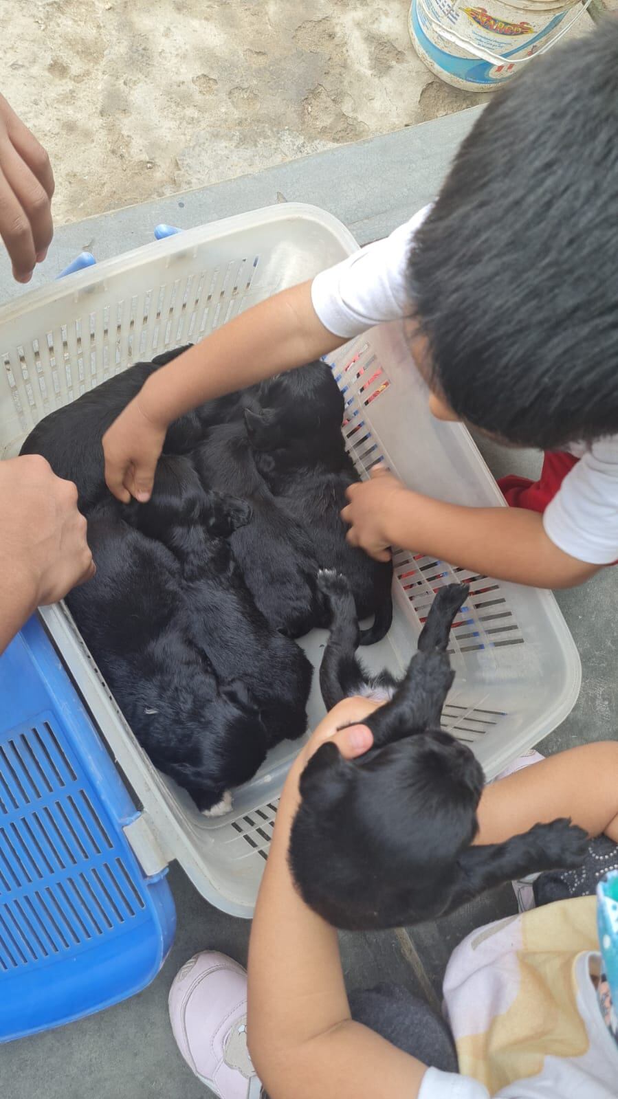 Los hijitos de 'Blanquita'.