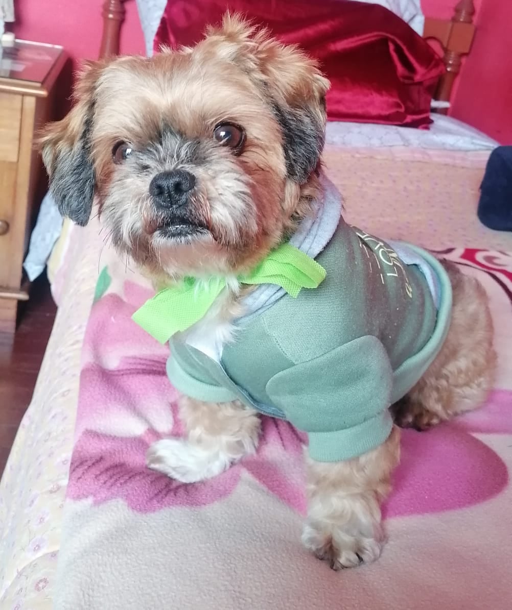 TOFFEE.
