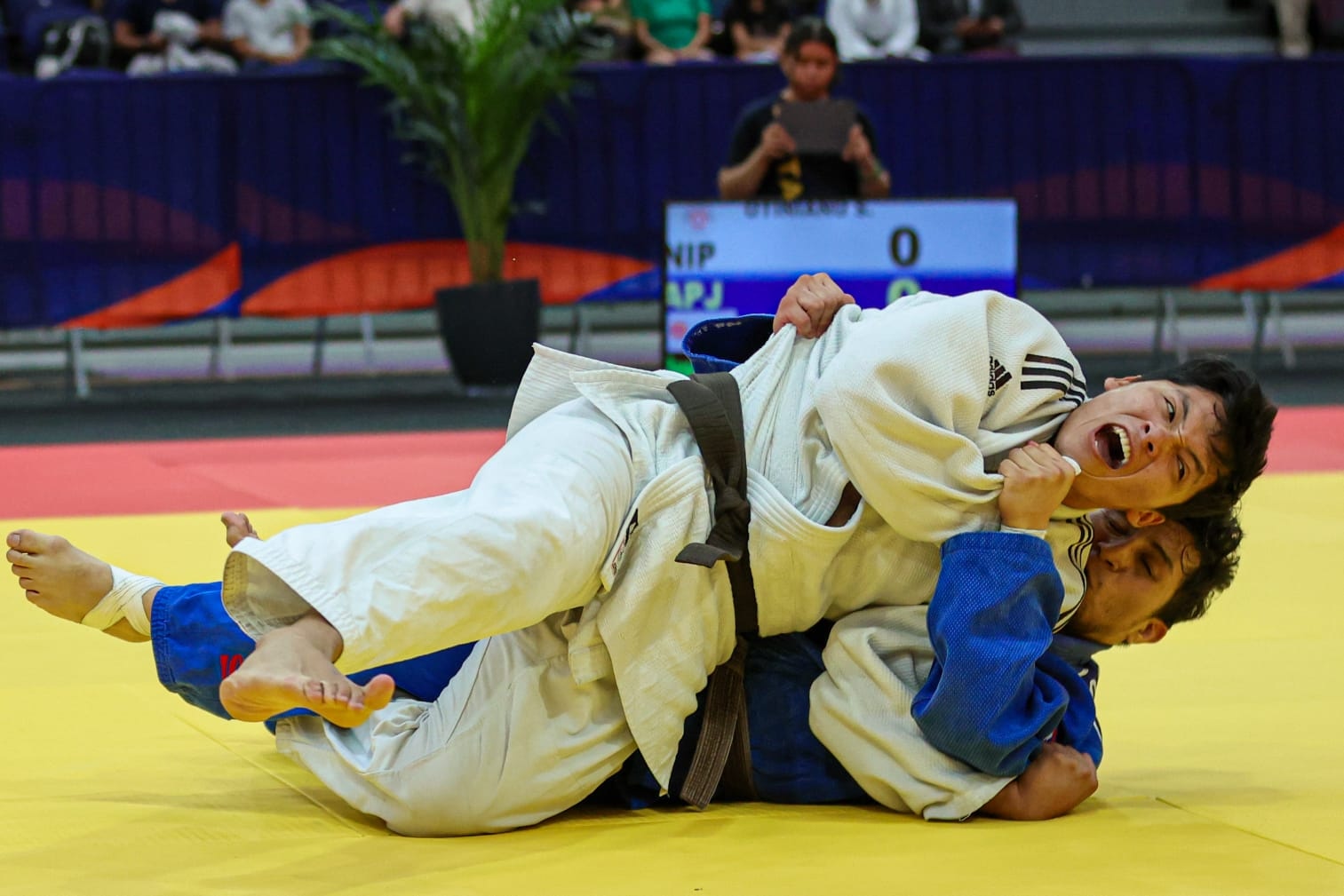 Participaron 35 instituciones de seis regiones del país