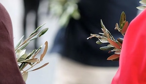 Por qué se celebra el Domingo de Ramos de Semana Santa