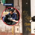 Milagro en Los Olivos: bomberos salvan a mascota de incendio en edificio