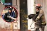 Milagro en Los Olivos: bomberos salvan a mascota de incendio en edificio