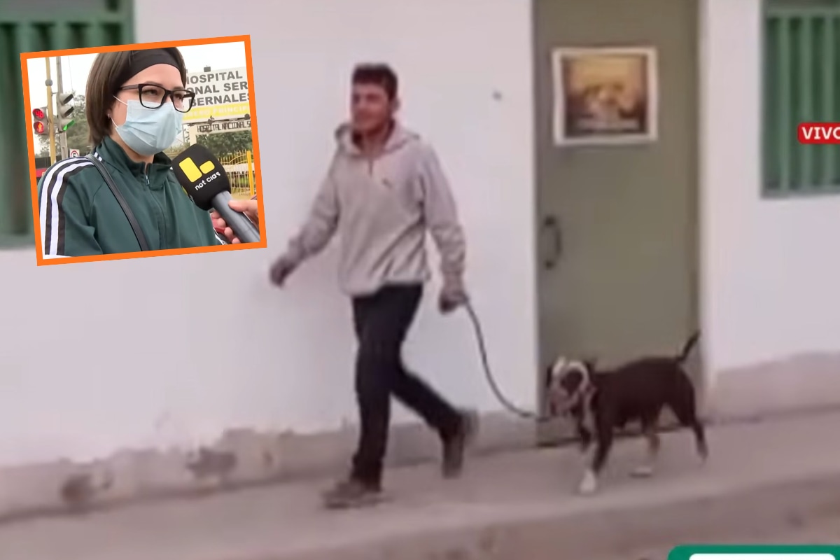 HIja de la víctima exige que dueños del perro asuman los gastos del tratamiento médico. (Latina)