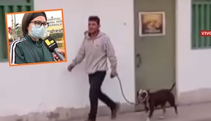 Comas: Pitbull se arroja de un segundo piso y ataca a vecina | VIDEO