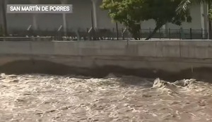 El río Rímac pone en riesgo a viviendas en San Martín de Porres por intensas lluvias