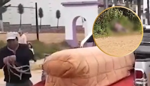 Adolescente de 15 años embarazada es asesinada a puñaladas: Su padre la encontró y sospechan de su ex