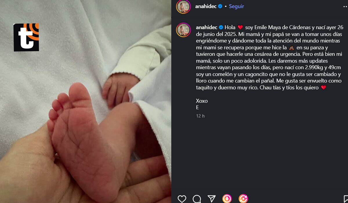La tierna publicación de Anahí de Cárdenas.