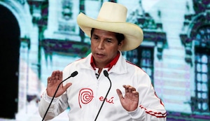 Pepitas: Que no comience otra vez con el cuento del pollo