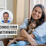 Tu perro puede tener parásitos sin que lo notes: conoce cómo prevenirlos
