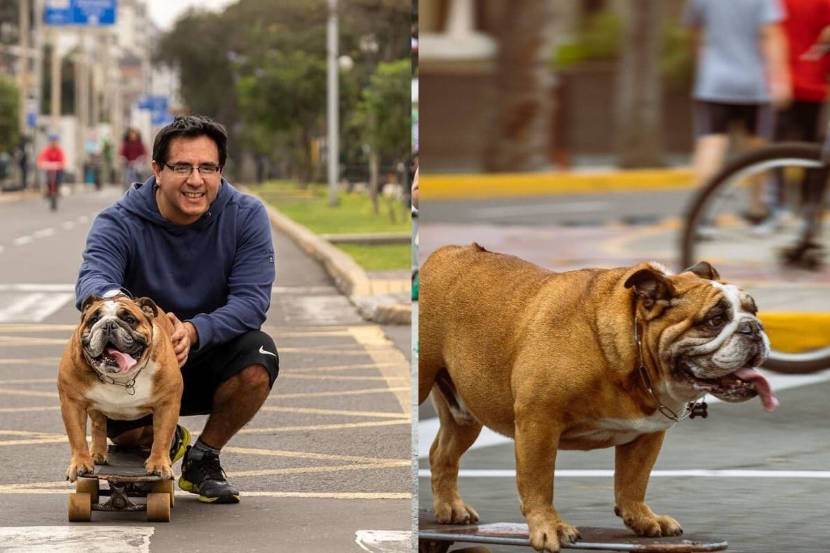 Iván cuida mucho de su alimentación. Ahora que el pequeño tiene 9 años, pesa 26 kilos y hace sus caminatas diarias y se sube por media hora a su patineta.
Fotos: Aaron Cisneros.
