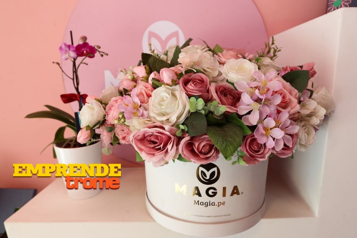 La historia de 'Magia.pe' y cómo empezaron su negocio en una cochera. (Fotos: Jesús Saucedo)