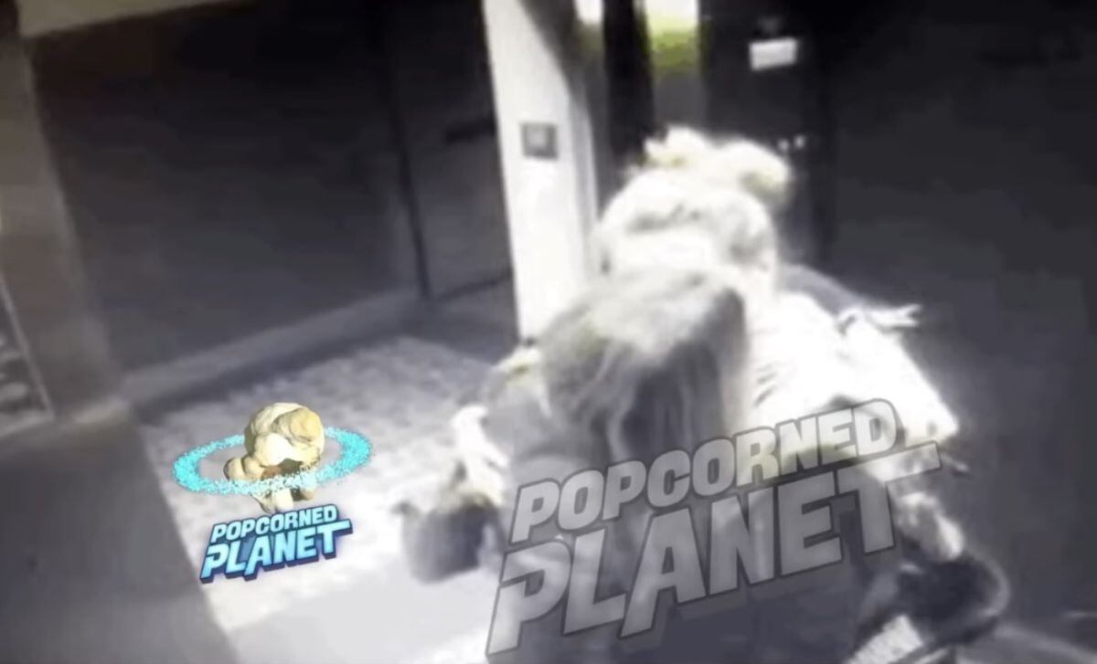 El programa indicó que las imágenes corresponderían al 2016 (Foto: Popcorned Planet)