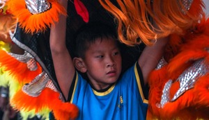 Horóscopo chino: el significado del Dragón de Madera